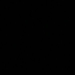 Meet your Posher, Danica